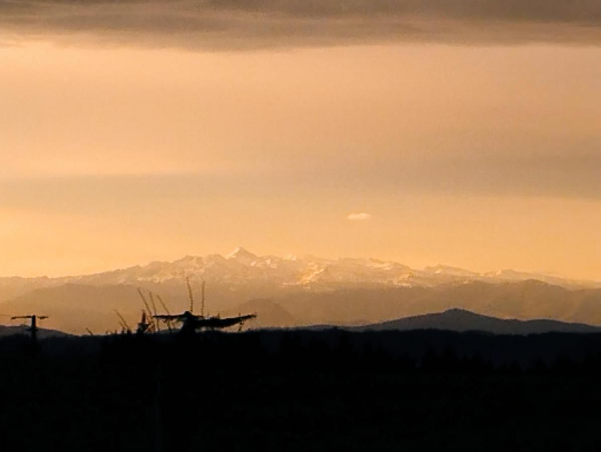 Appartement, Vue Sur Les Pyrenees Pouillon Eksteriør bilde